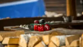 Fotorelacja Dzikie Smaki Mazur - zdjęcie 12