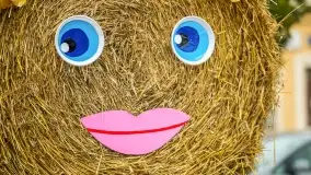 Fotorelacja z dożynek Gminnych w Piszu, Piknik Wołowy - zdjęcie 22