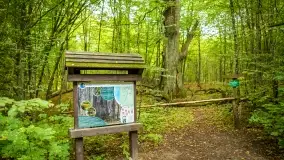 Fotorelacja -  Ogólnopolski Dzień Parków Krajobrazowych w Puszczy Piskiej - zdjęcie 9