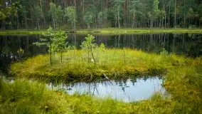 Fotorelacja -  Ogólnopolski Dzień Parków Krajobrazowych w Puszczy Piskiej - zdjęcie 43