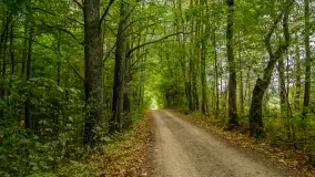 Fotorelacja -  Ogólnopolski Dzień Parków Krajobrazowych w Puszczy Piskiej - zdjęcie 49