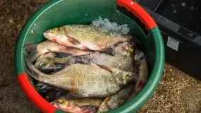 Warsztaty kulinarne w Karwiku - foteralacja - zdjęcie 6