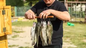 Warsztaty kulinarne w Karwiku - foteralacja - zdjęcie 38