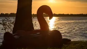 Zachód słońca nad jeziorem Przystań, czerwiec 2022 - zdjęcie 4