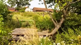 Szczytno i okolice na zdjęciach Marty Sotnik, 2022 - zdjęcie 21