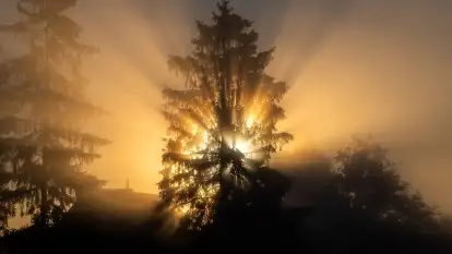 Szczytno i okolice na zdjęciach Marty Sotnik, 2022