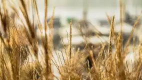 Poranek w Bocianim Gnieździe i te... mgły nad jeziorem Ryńskim - zdjęcie 29