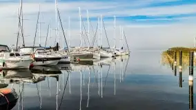 Poranek w Bocianim Gnieździe i te... mgły nad jeziorem Ryńskim - zdjęcie 13