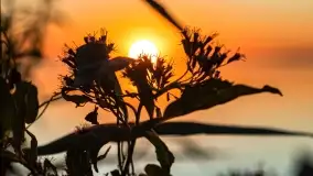 Sierpniowy zachód słońca nad jeziorem Dargin - zdjęcie 25