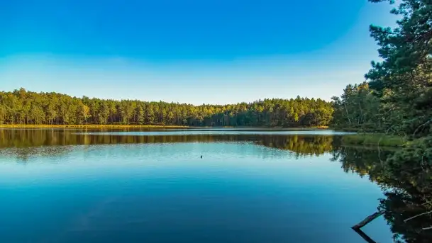 Jezioro Wesołek i puszcza Piska - zdjęcie 11
