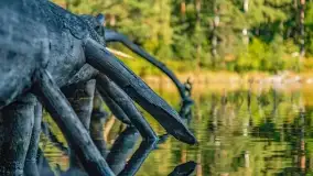 Jezioro Wesołek i puszcza Piska - zdjęcie 18