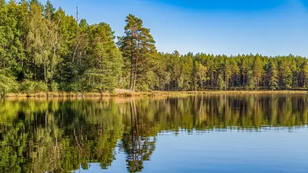 Jezioro Wesołek i puszcza Piska - zdjęcie 5