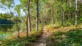 Jezioro Wesołek i puszcza Piska - zdjęcie 49