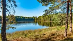 Jezioro Wesołek i puszcza Piska - zdjęcie 47