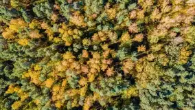 Jesień na mazurskich traktach, polach i łąkach, październik 2022 - zdjęcie 26