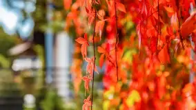 Jesień na mazurskich traktach, polach i łąkach, październik 2022 - zdjęcie 83