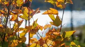 Jesień na mazurskich traktach, polach i łąkach, październik 2022 - zdjęcie 64