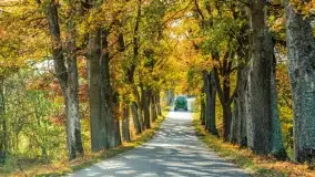 Jesień na mazurskich traktach, polach i łąkach, październik 2022 - zdjęcie 125