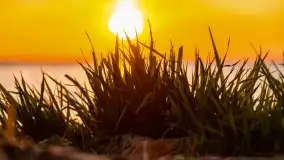 Zachód słońca w Pieczarkach, jezioro Dargin, lipiec 2022 - zdjęcie 42