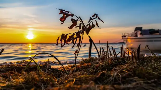 Zachód słońca w Pieczarkach, jezioro Dargin, lipiec 2022 - zdjęcie 10
