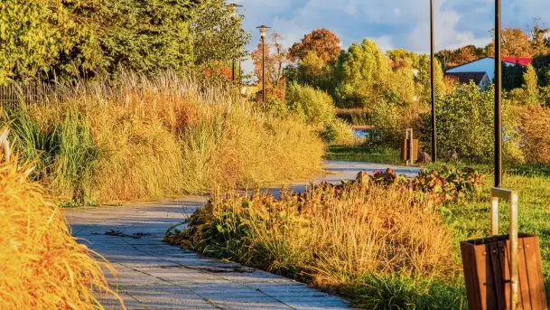 Zachód słońca w Rynie, październik 2022 - zdjęcie 7