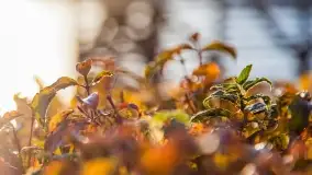 Zachód słońca w Rynie, październik 2022 - zdjęcie 21