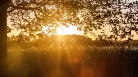 Jesienny zachód słońca nad jeziorem Mój, październik 2022 - zdjęcie 17