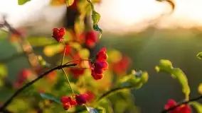 Jesienny zachód słońca nad jeziorem Mój, październik 2022 - zdjęcie 13