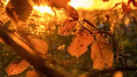 Jesienny zachód słońca nad jeziorem Mój, październik 2022 - zdjęcie 16