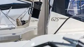 Fotorelacja z  Poland Boat Show & Warszawski Salon Jachtowy 2022 - zdjęcie 62