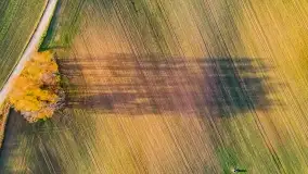 Fotograficzne podsumowanie jesieni na Mazurach 2022 - zdjęcie 154