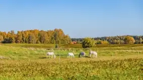 Fotograficzne podsumowanie jesieni na Mazurach 2022 - zdjęcie 97