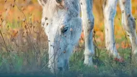 Fotograficzne podsumowanie jesieni na Mazurach 2022 - zdjęcie 115