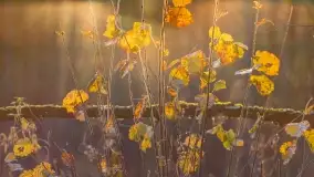 Fotograficzne podsumowanie jesieni na Mazurach 2022 - zdjęcie 61