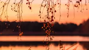 Fotograficzne podsumowanie jesieni na Mazurach 2022 - zdjęcie 148