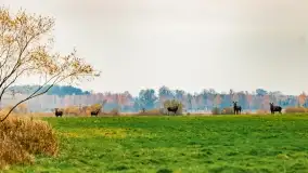 Fotograficzne podsumowanie jesieni na Mazurach 2022 - zdjęcie 147