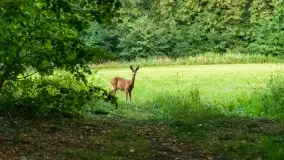 Mazurskie, przypadkowe obrazki z lata 2022 - zdjęcie 21