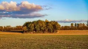 Zachód słońca w Maciejkach, niedaleko Mazur - zdjęcie 31