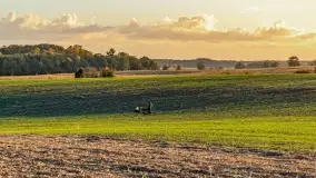 Zachód słońca w Maciejkach, niedaleko Mazur - zdjęcie 16
