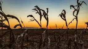 Zachód słońca w Maciejkach, niedaleko Mazur - zdjęcie 36
