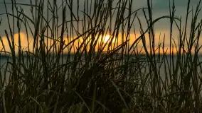 Pochmurny zachód słońca w Pierkunowie nad Kisajnem - zdjęcie 11