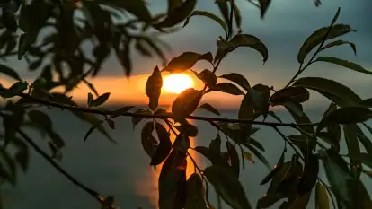 Pochmurny zachód słońca w Pierkunowie nad Kisajnem