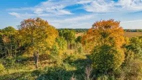 Kolory wrześniowych Mazur - zdjęcie 16