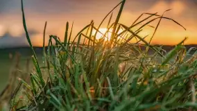 Kolory wrześniowych Mazur - zdjęcie 47