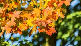 Kolory wrześniowych Mazur - zdjęcie 42