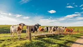 Kolory wrześniowych Mazur - zdjęcie 35