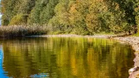 Kolory wrześniowych Mazur - zdjęcie 56