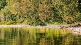 Kolory wrześniowych Mazur - zdjęcie 83