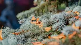 Jesienny Kętrzyn, październik 2022 - zdjęcie 12