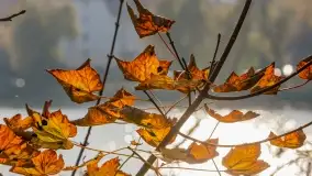 Jesienny Kętrzyn, październik 2022 - zdjęcie 30